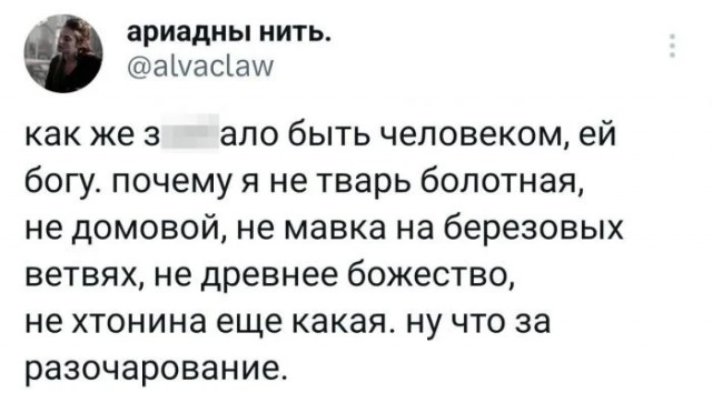 Лютейшего разочарования тема