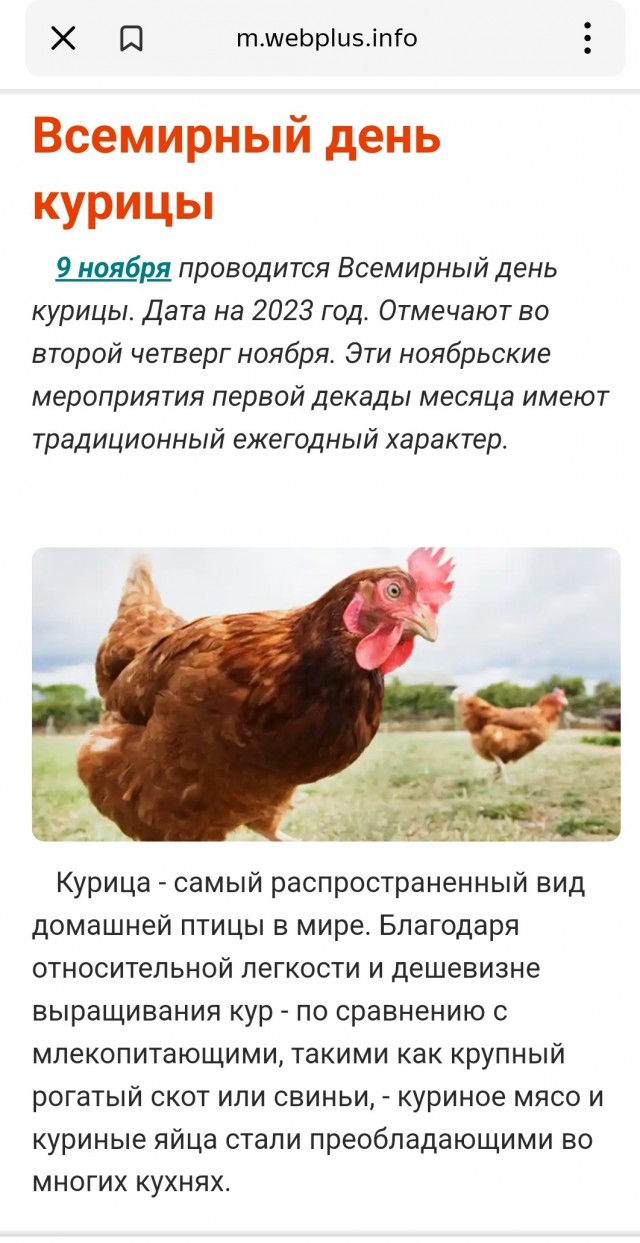 День курицы 2024. Международный день уважения кур. Год курицы. День курицы праздник. Пасха приколы.