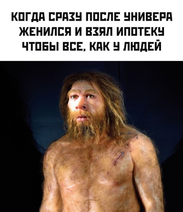 Весёлый полтишок 27.11.23