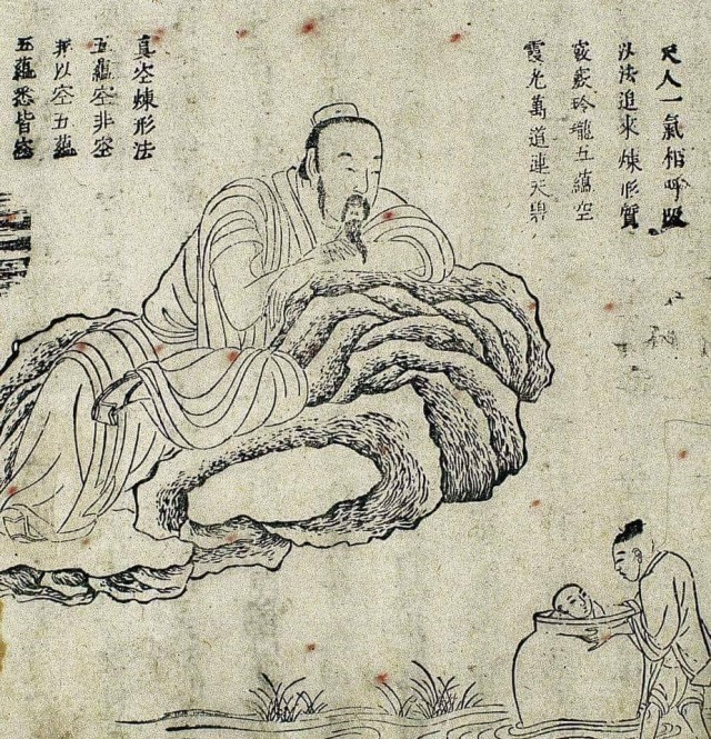 Дачный курятник