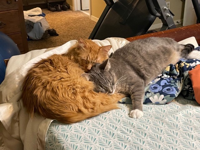 ФотоВинегрет