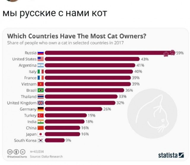 Россию сочли самой кошачьей страной мира