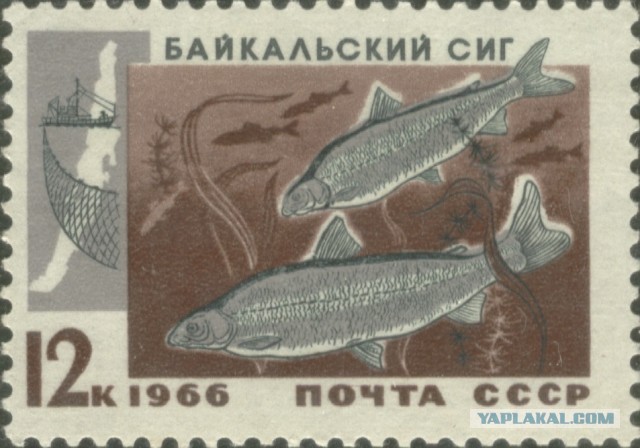 Альтернативная версия