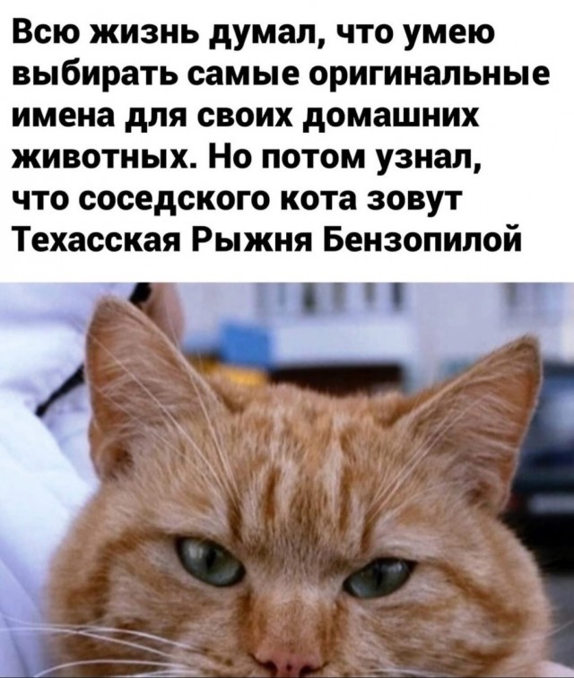 Чуток картинок