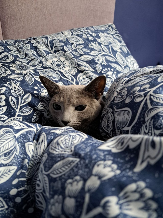 Спокойной ночи