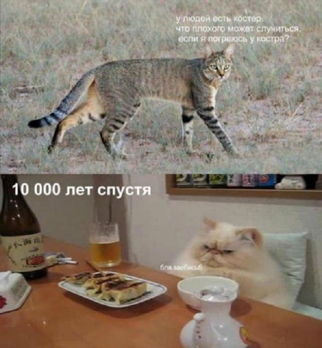 Картинки разные с надписями и без