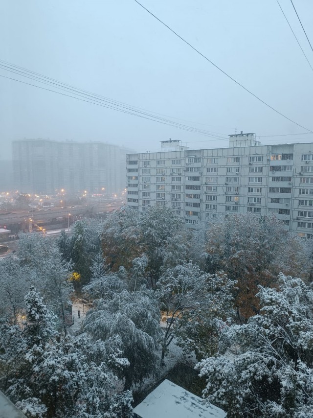Снег добрался до Москвы