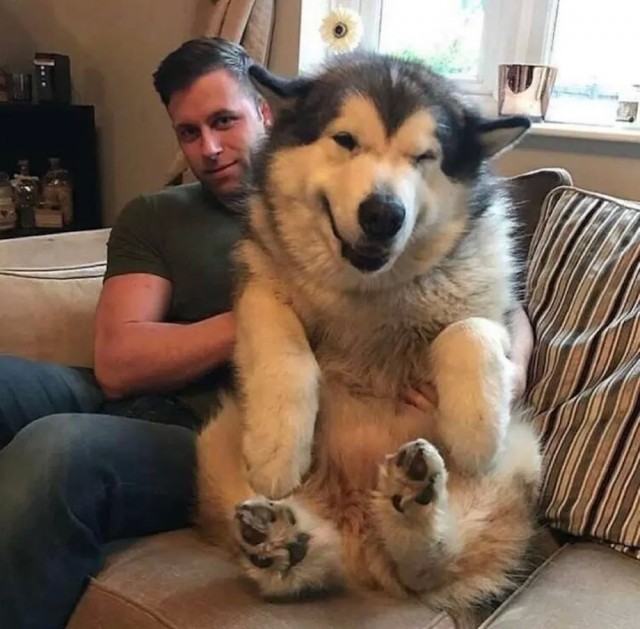 ФотоВинегрет