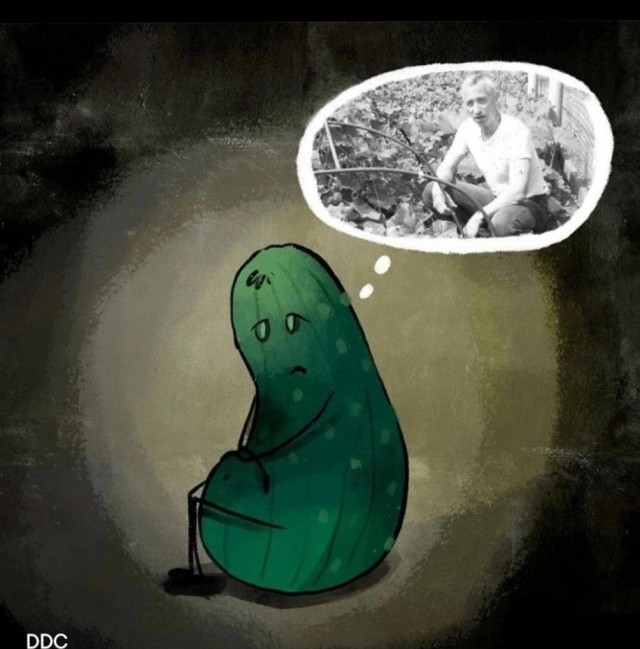 Давайте опубликуем