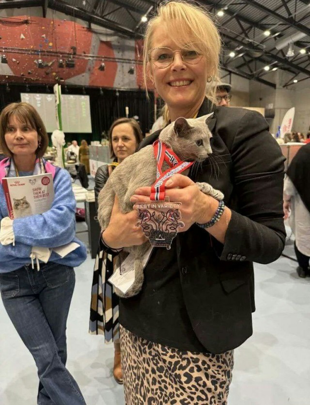 Самым красивым котом в МИРЕ стал пушистик по кличке Бакарди