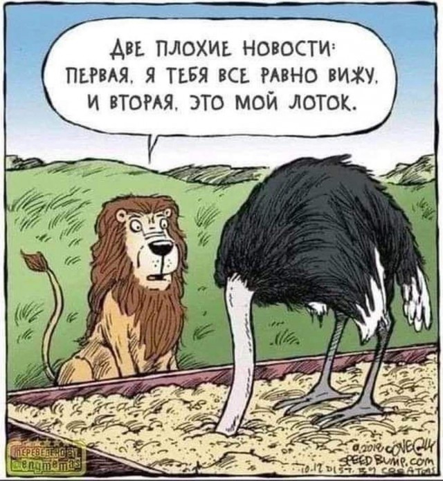 Так себе картинки 03.12.24