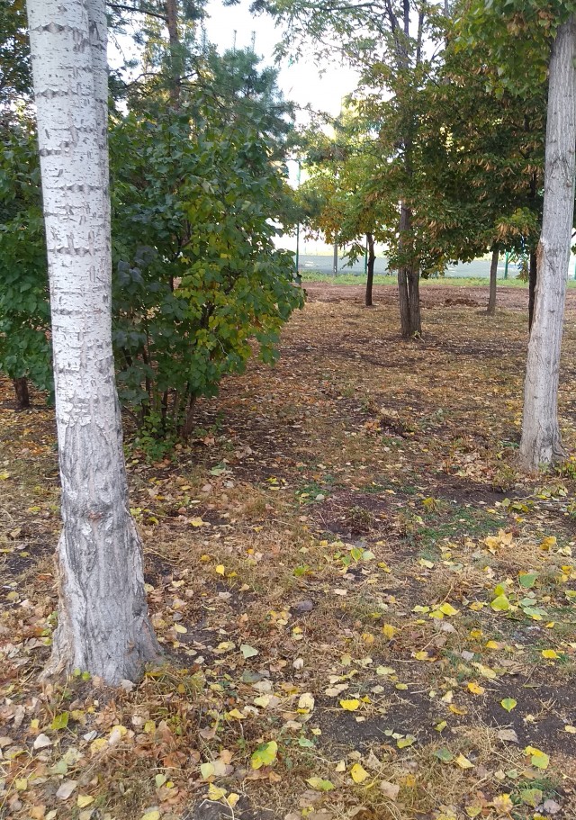 Как я провёл утро.