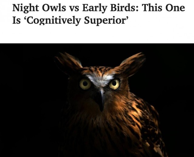 Чем позже вы просыпаетесь, тем выше ваш интеллект