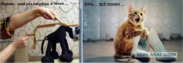 Подарок другу на ДР. Переносилка для котов