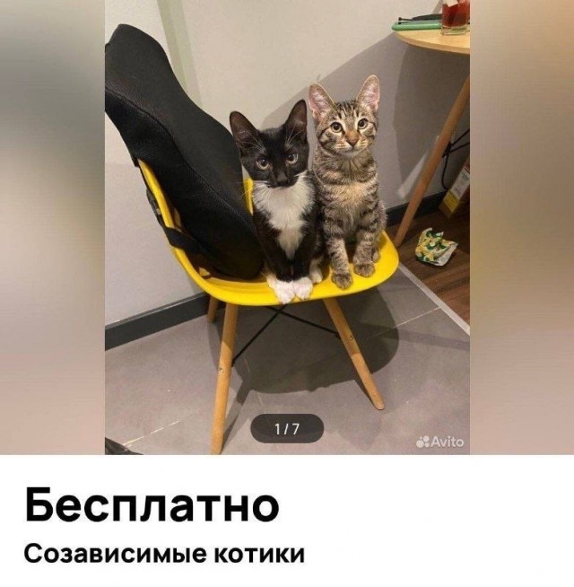 Четверговые картинки