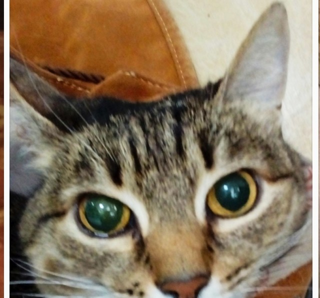 Как быстро они меняются