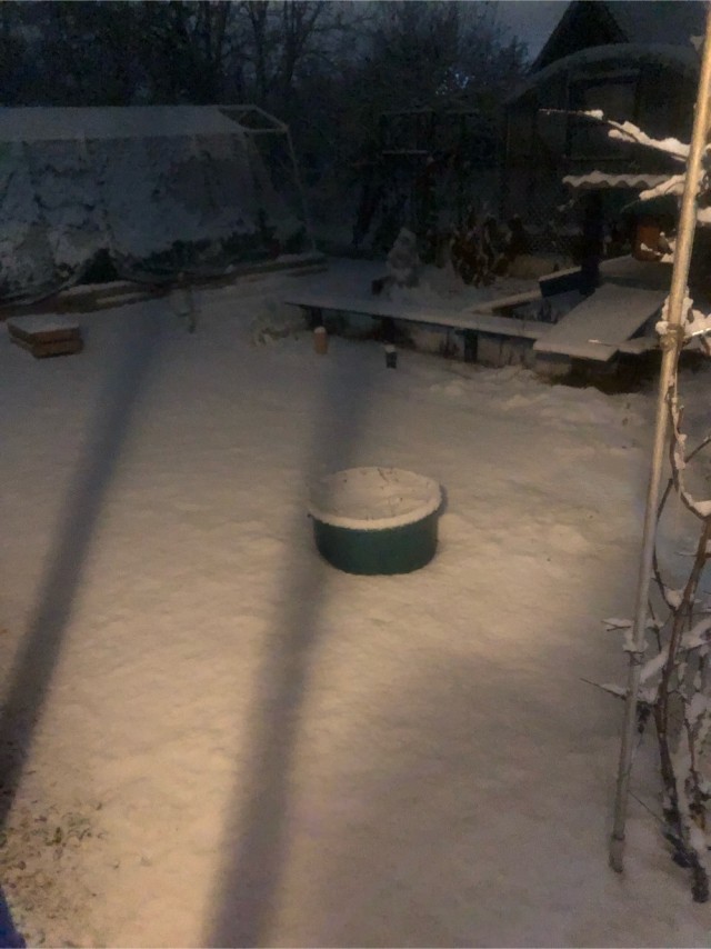 Не каждый год
