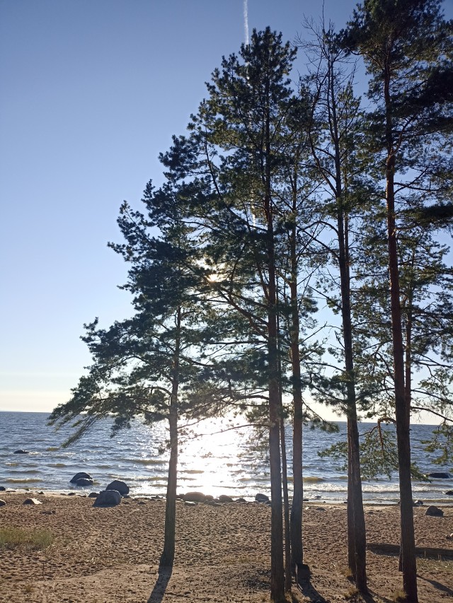 Мой любимый коктейль для опохмелки