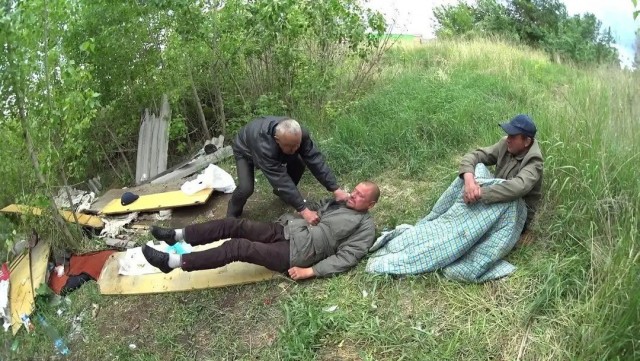 ученые выяснили откуда берутся круги на полях