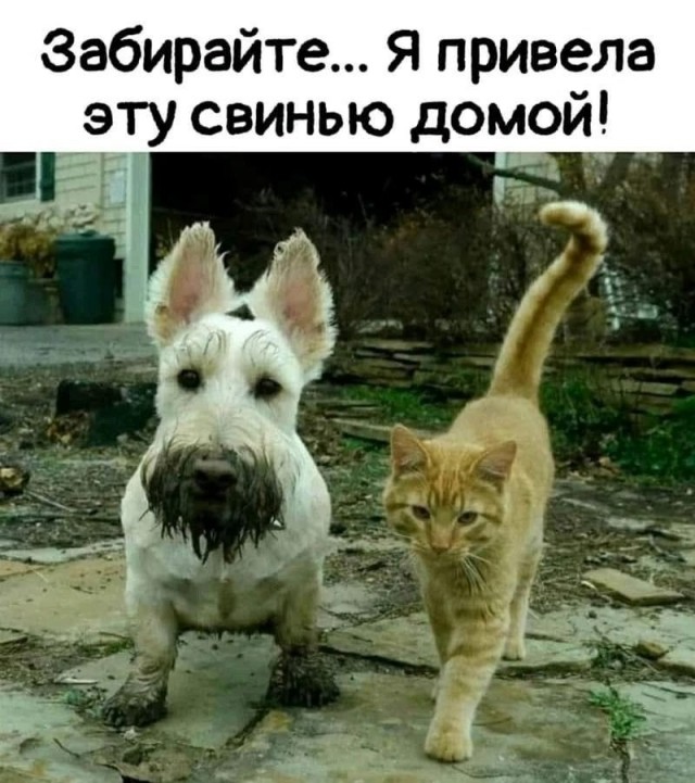 Так себе картинки 16.07.26