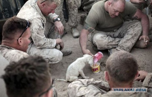 Прошу понять и простить