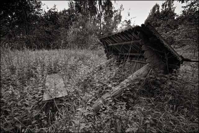 "Звонкие горны". Наши дни.