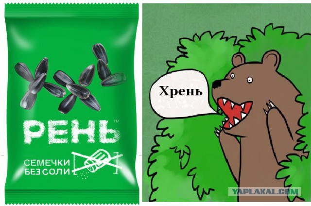 Медведи почти на все случаи жизни
