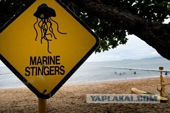 10 самых опасных пляжей мира