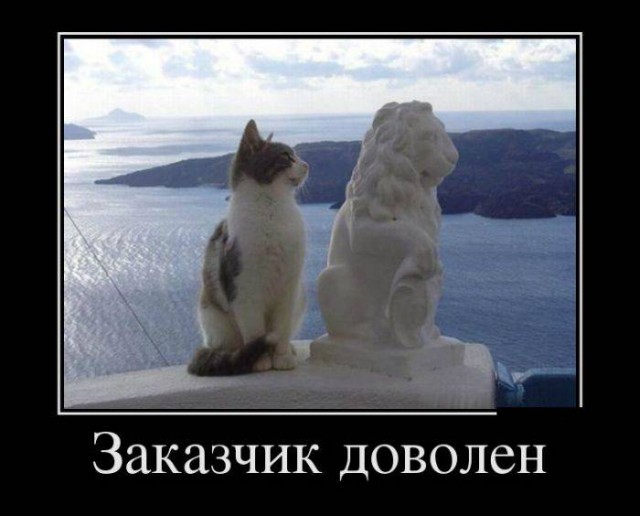Котовторнику посвящается.