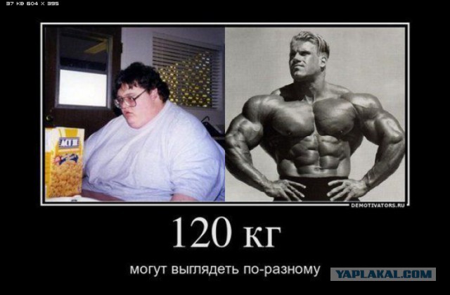 Малолетки совсем берега попутали