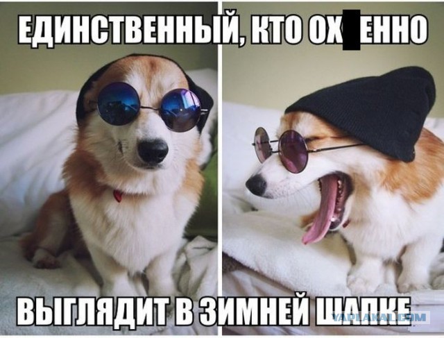 Картинки разные с просторов