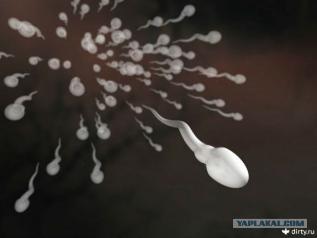 Лиза Пескова (дочь Пескова), лучше бы молчала!