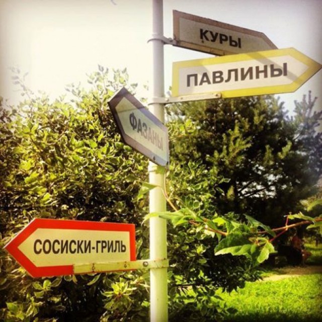 Я понятия не имею, что здесь происходит
