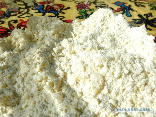 Горячие непорочные пышки