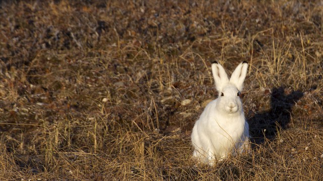 Просто Природа