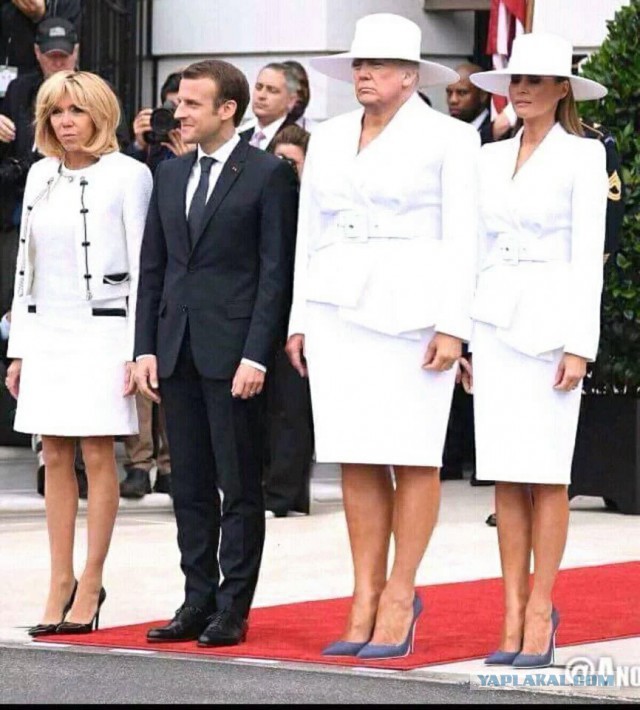 Сажающие дерево Трамп и Макрон превратились в мем