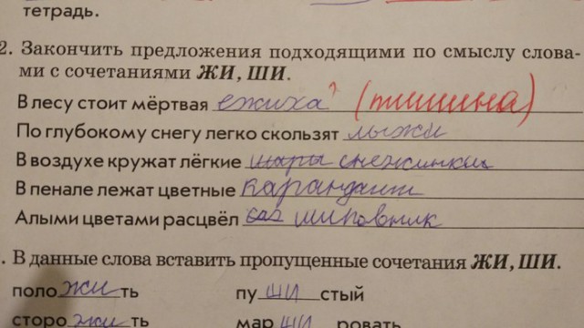 Записи в школьных дневниках и тетрадях