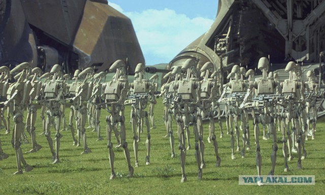Много пёсиков от BostonDynamics