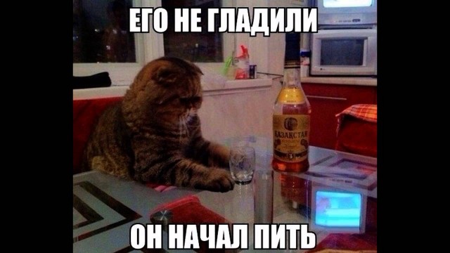 Алкоты