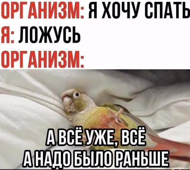 У нас ЧП