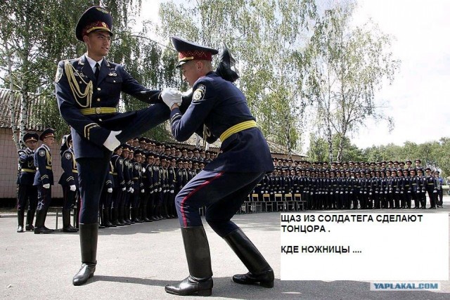 Фотожаба: Тренировочка