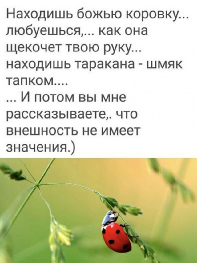 Чутка лайтовой фигни в ленту
