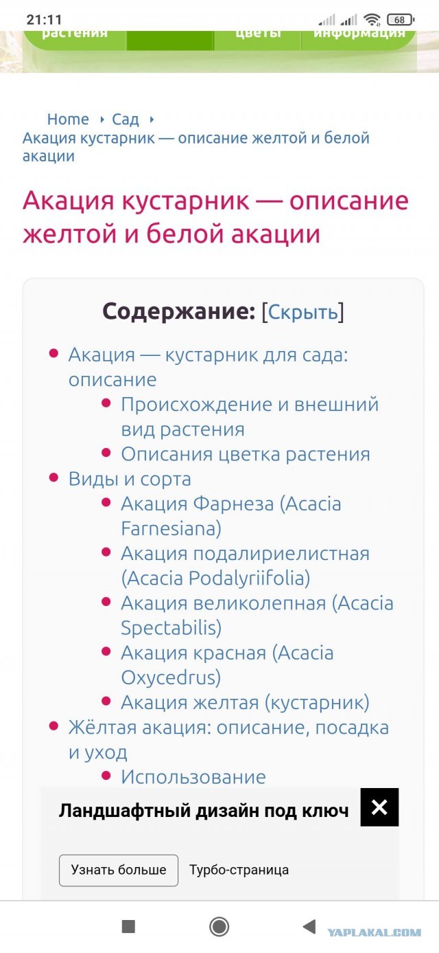 Почему мужчина не должен знать, на что тратятся его алименты?