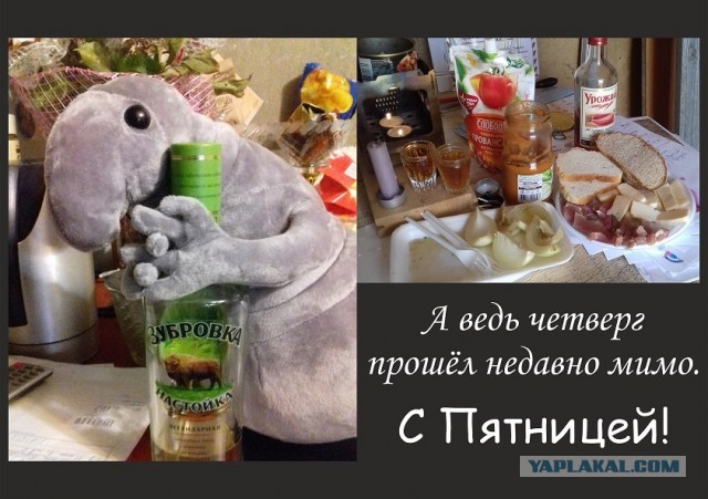 Алкоюмор на пятницу 16.07.2021