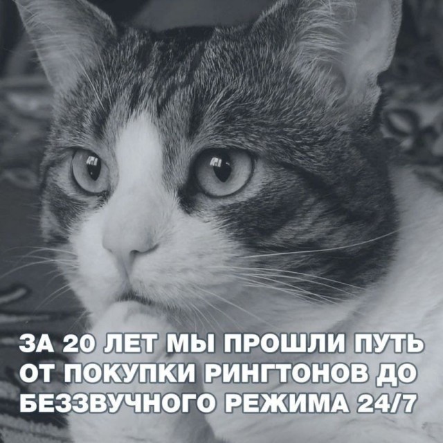 Так себе картинки 24.02.22