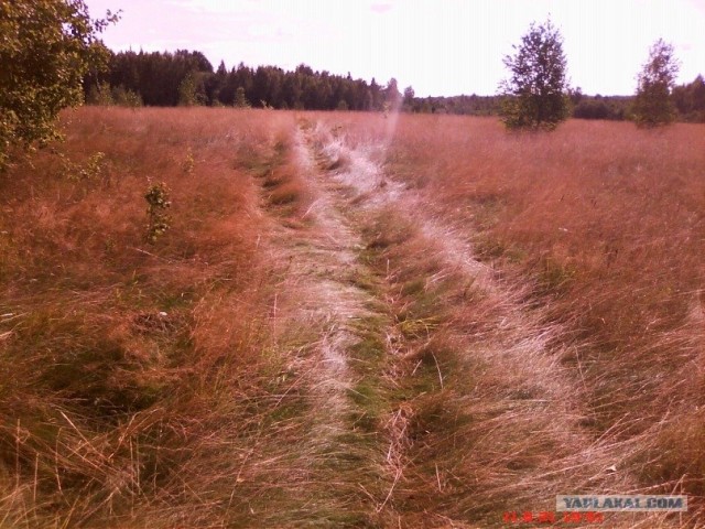 Костромская Аномальная Зона