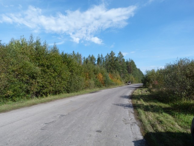 Поход за опятами