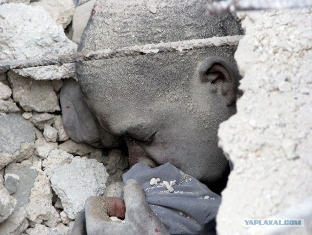 Лучшие фото 2008 года по версии Шпигель