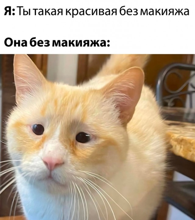 Картинки и мемы для настроения - 125