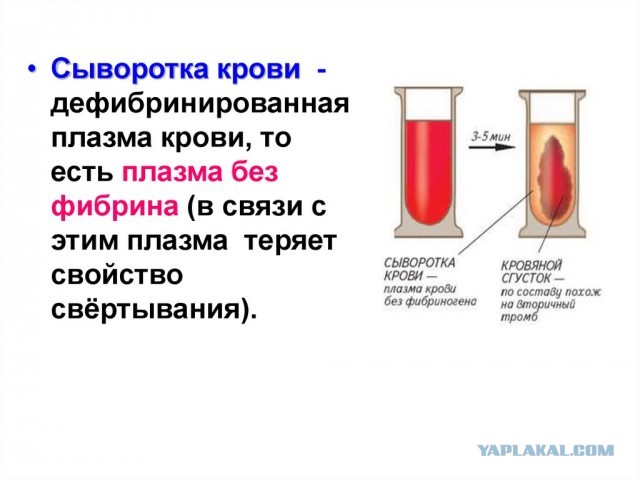 Что такое окрошка?